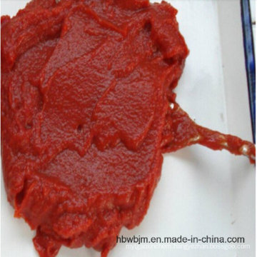 Fresh Canned Tomato Paste of 70g-4500g